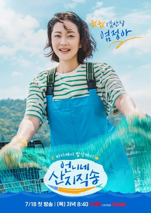 ��ϳ� ��������